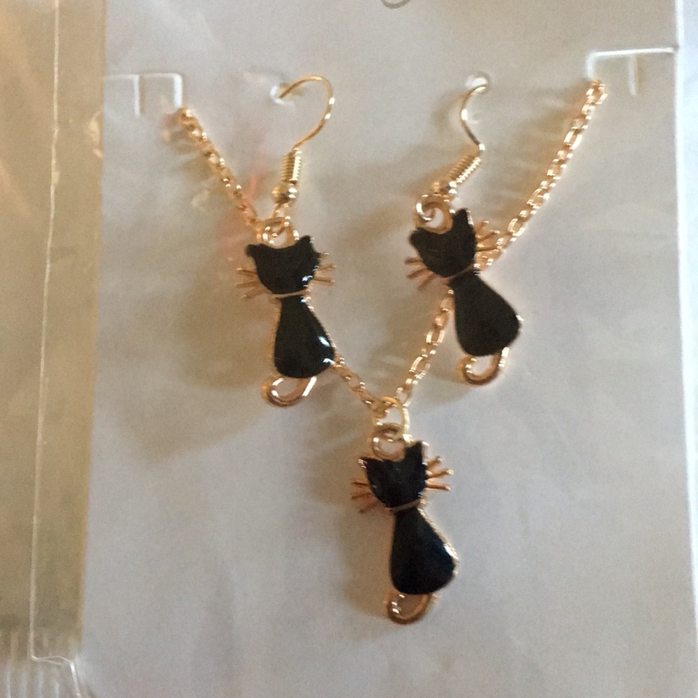 Necklace and matching earrings